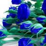 Как покрасить белые розы в синий цвет